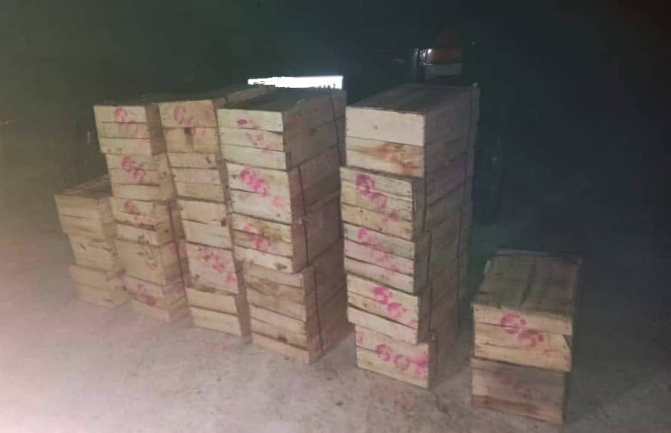 В Баткене пограничниками задержана контрабанда цитрусовых