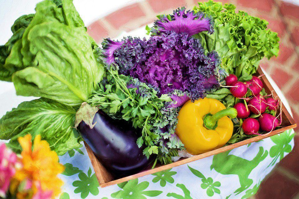 Ешьте овощи! Названы продукты, защищающие от потери зрения